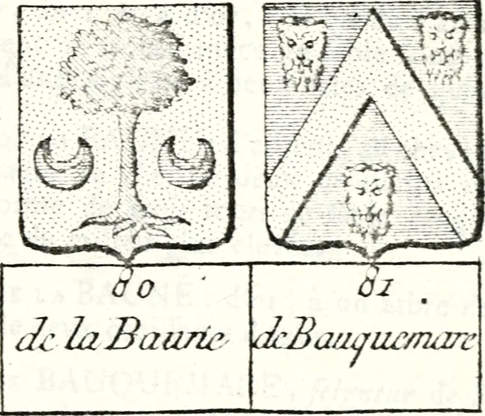 An illustration from Armorial des principales maisons et familles du royaume, particulierement des celles de Paris et de l'Isle de France : contenant les armes des princes, seigneurs, grands officiers de la couronne & de la maison du roi, celles des cours souveraines, &c. avec l'explication de tous les blasons, 1757, leaf 150