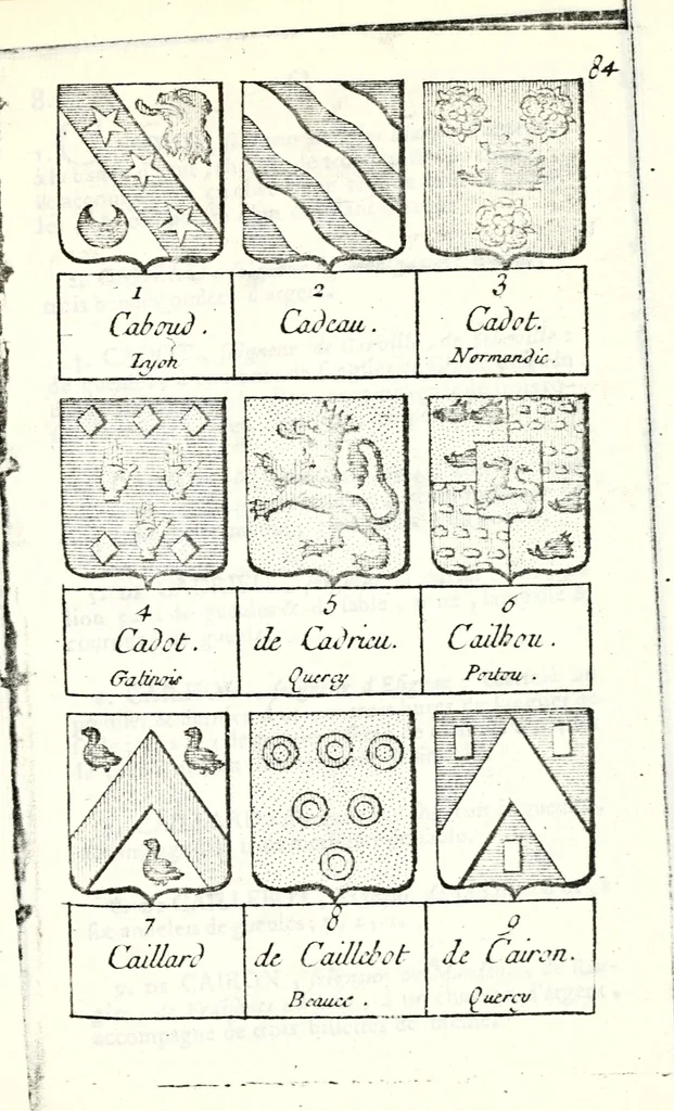 An illustration from Armorial des principales maisons et familles du royaume, particulierement des celles de Paris et de l'Isle de France : contenant les armes des princes, seigneurs, grands officiers de la couronne & de la maison du roi, celles des cours souveraines, &c. avec l'explication de tous les blasons, 1757, leaf 302