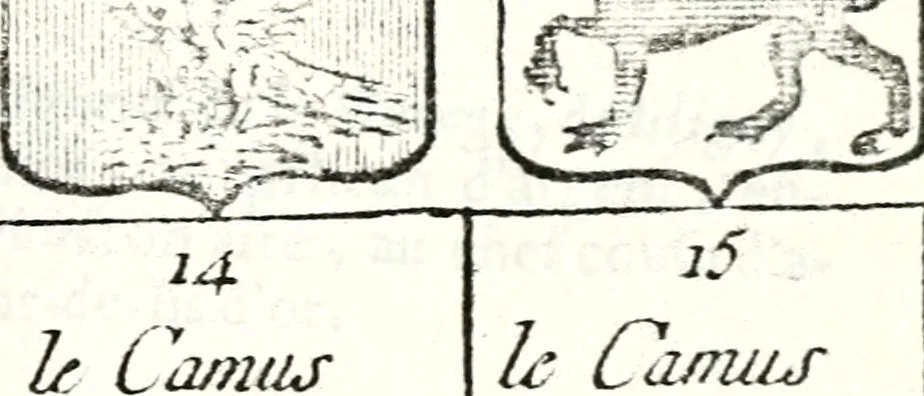 An illustration from Armorial des principales maisons et familles du royaume, particulierement des celles de Paris et de l'Isle de France : contenant les armes des princes, seigneurs, grands officiers de la couronne & de la maison du roi, celles des cours souveraines, &c. avec l'explication de tous les blasons, 1757, leaf 306