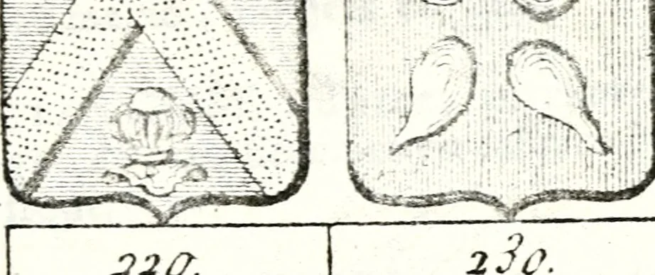 An illustration from Armorial des principales maisons et familles du royaume, particulierement des celles de Paris et de l'Isle de France : contenant les armes des princes, seigneurs, grands officiers de la couronne & de la maison du roi, celles des cours souveraines, &c. avec l'explication de tous les blasons, 1757, leaf 402