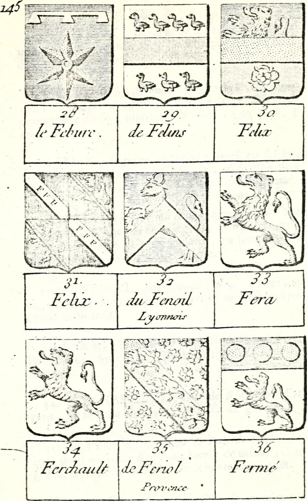 An illustration from Armorial des principales maisons et familles du royaume, particulierement des celles de Paris et de l'Isle de France : contenant les armes des princes, seigneurs, grands officiers de la couronne & de la maison du roi, celles des cours souveraines, &c. avec l'explication de tous les blasons, 1757, leaf 546