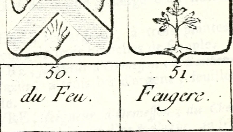 An illustration from Armorial des principales maisons et familles du royaume, particulierement des celles de Paris et de l'Isle de France : contenant les armes des princes, seigneurs, grands officiers de la couronne & de la maison du roi, celles des cours souveraines, &c. avec l'explication de tous les blasons, 1757, leaf 554