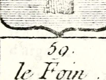 An illustration from Armorial des principales maisons et familles du royaume, particulierement des celles de Paris et de l'Isle de France : contenant les armes des princes, seigneurs, grands officiers de la couronne & de la maison du roi, celles des cours souveraines, &c. avec l'explication de tous les blasons, 1757, leaf 566