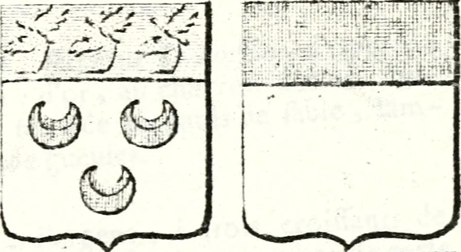 An illustration from Armorial des principales maisons et familles du royaume, particulierement des celles de Paris et de l'Isle de France : contenant les armes des princes, seigneurs, grands officiers de la couronne & de la maison du roi, celles des cours souveraines, &c. avec l'explication de tous les blasons, 1757, leaf 578