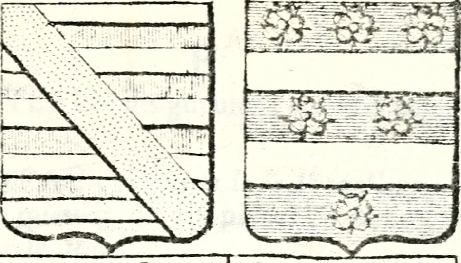 An illustration from Armorial des principales maisons et familles du royaume, particulierement des celles de Paris et de l'Isle de France : contenant les armes des princes, seigneurs, grands officiers de la couronne & de la maison du roi, celles des cours souveraines, &c. avec l'explication de tous les blasons, 1757, leaf 598