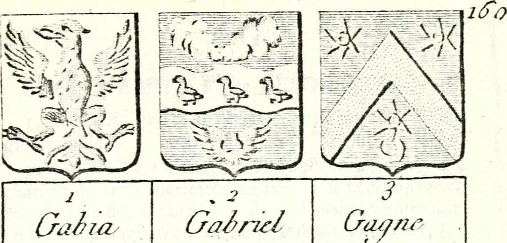An illustration from Armorial des principales maisons et familles du royaume, particulierement des celles de Paris et de l'Isle de France : contenant les armes des princes, seigneurs, grands officiers de la couronne & de la maison du roi, celles des cours souveraines, &c. avec l'explication de tous les blasons, 1757, leaf 606