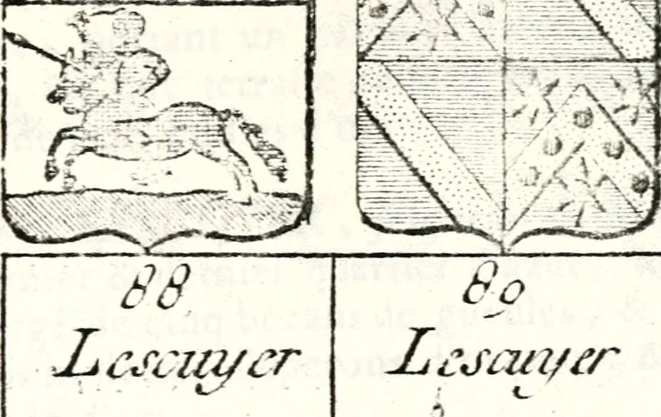 An illustration from Armorial des principales maisons et familles du royaume, particulierement des celles de Paris et de l'Isle de France : contenant les armes des princes, seigneurs, grands officiers de la couronne & de la maison du roi, celles des cours souveraines, &c. avec l'explication de tous les blasons, 1757, leaf 794