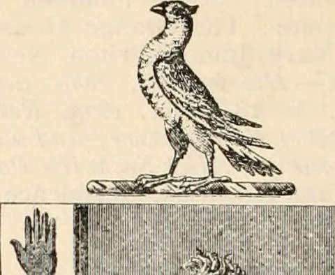 An illustration from Armorial families : a directory of gentlemen of coat-armour, 1905, leaf 445