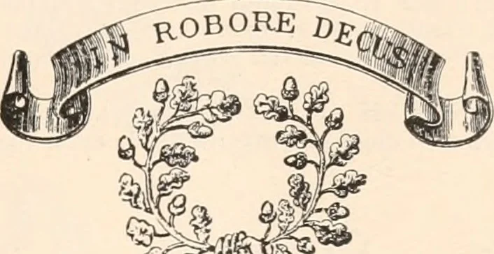 An illustration from Armorial families : a directory of gentlemen of coat-armour, 1905, leaf 66