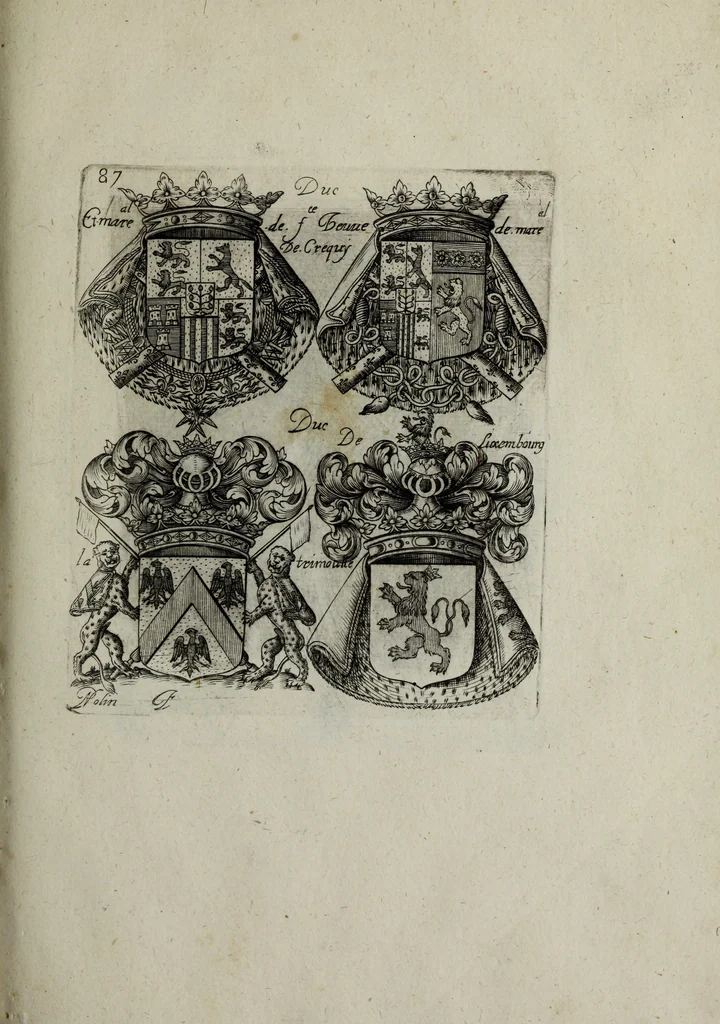 An illustration from Armorial vniuersel, contenant les armes des principales maisons, estatz, et dignitez, des plus considerables royaumes de l'Europe. Blazonnées de leurs métaux & couleurs et enrichies de leurs ornemens exterieurs, 1654, leaf 202