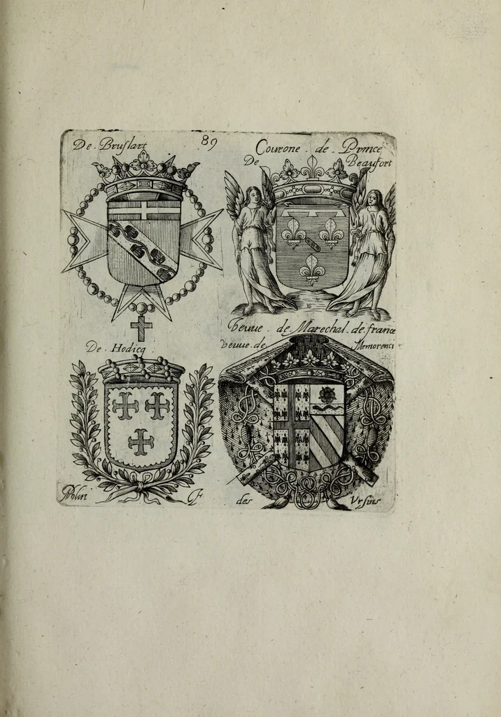 An illustration from Armorial vniuersel, contenant les armes des principales maisons, estatz, et dignitez, des plus considerables royaumes de l'Europe. Blazonnées de leurs métaux & couleurs et enrichies de leurs ornemens exterieurs, 1654, leaf 206