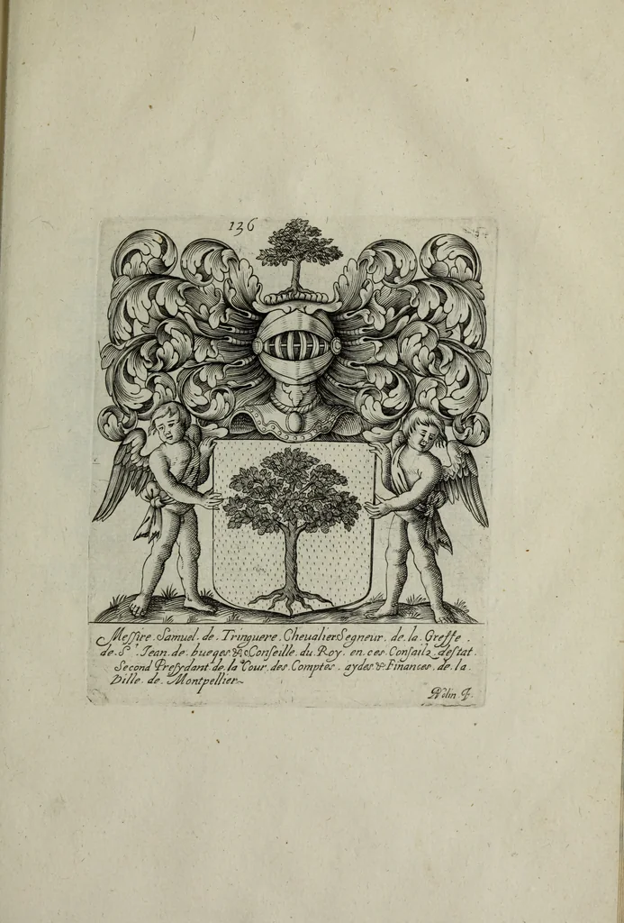 An illustration from Armorial vniuersel, contenant les armes des principales maisons, estatz, et dignitez, des plus considerables royaumes de l'Europe. Blazonnées de leurs métaux & couleurs et enrichies de leurs ornemens exterieurs, 1654, leaf 302