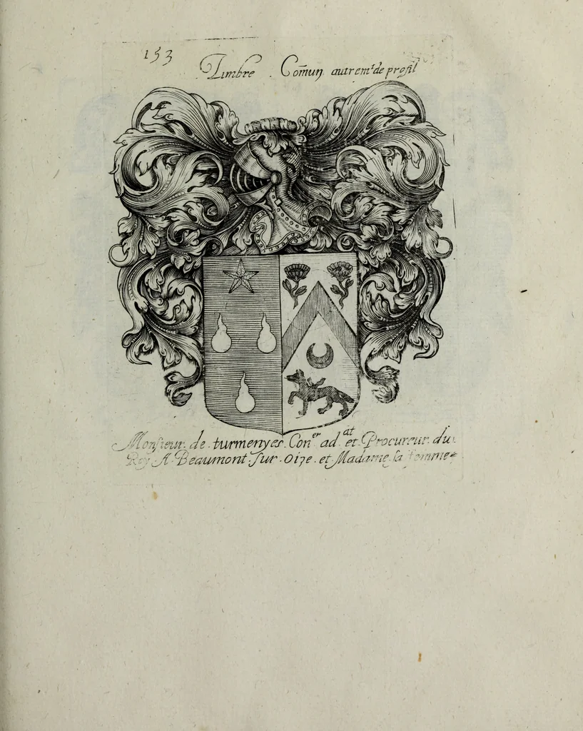 An illustration from Armorial vniuersel, contenant les armes des principales maisons, estatz, et dignitez, des plus considerables royaumes de l'Europe. Blazonnées de leurs métaux & couleurs et enrichies de leurs ornemens exterieurs, 1654, leaf 338