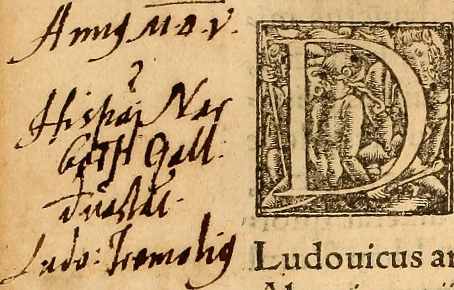 An illustration from Arnoldi Ferroni Burdigalensis, regij consiliarij, : De rebus gestis Gallorum libri IX. Ad Historiam Pavli Aemylii additi, perducta historia usque ad terpora Henrici II, Francorum regis. [Paralipomena Gallicanae historiae ad P. Aemylivm et Ferronvm, adiecta. Per Ioannem Thomam Freigivm], 1569, leaf 117
