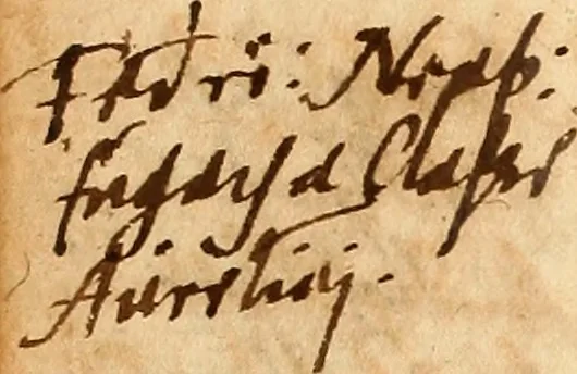 An illustration from Arnoldi Ferroni Burdigalensis, regij consiliarij, : De rebus gestis Gallorum libri IX. Ad Historiam Pavli Aemylii additi, perducta historia usque ad terpora Henrici II, Francorum regis. [Paralipomena Gallicanae historiae ad P. Aemylivm et Ferronvm, adiecta. Per Ioannem Thomam Freigivm], 1569, leaf 15