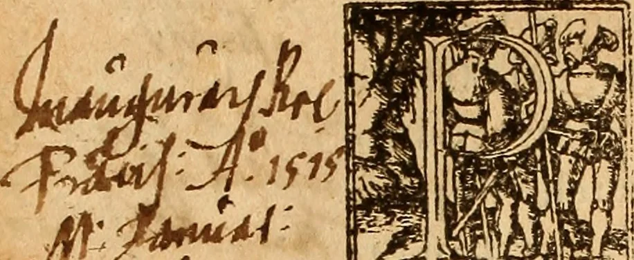An illustration from Arnoldi Ferroni Burdigalensis, regij consiliarij, : De rebus gestis Gallorum libri IX. Ad Historiam Pavli Aemylii additi, perducta historia usque ad terpora Henrici II, Francorum regis. [Paralipomena Gallicanae historiae ad P. Aemylivm et Ferronvm, adiecta. Per Ioannem Thomam Freigivm], 1569, leaf 155