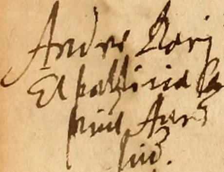 An illustration from Arnoldi Ferroni Burdigalensis, regij consiliarij, : De rebus gestis Gallorum libri IX. Ad Historiam Pavli Aemylii additi, perducta historia usque ad terpora Henrici II, Francorum regis. [Paralipomena Gallicanae historiae ad P. Aemylivm et Ferronvm, adiecta. Per Ioannem Thomam Freigivm], 1569, leaf 171