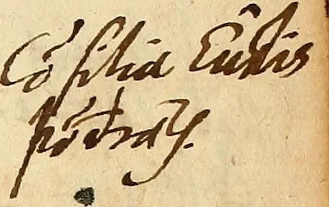 An illustration from Arnoldi Ferroni Burdigalensis, regij consiliarij, : De rebus gestis Gallorum libri IX. Ad Historiam Pavli Aemylii additi, perducta historia usque ad terpora Henrici II, Francorum regis. [Paralipomena Gallicanae historiae ad P. Aemylivm et Ferronvm, adiecta. Per Ioannem Thomam Freigivm], 1569, leaf 242