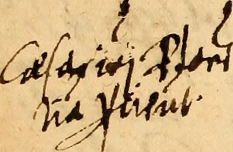 An illustration from Arnoldi Ferroni Burdigalensis, regij consiliarij, : De rebus gestis Gallorum libri IX. Ad Historiam Pavli Aemylii additi, perducta historia usque ad terpora Henrici II, Francorum regis. [Paralipomena Gallicanae historiae ad P. Aemylivm et Ferronvm, adiecta. Per Ioannem Thomam Freigivm], 1569, leaf 285