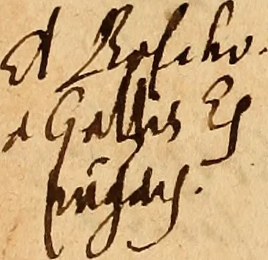 An illustration from Arnoldi Ferroni Burdigalensis, regij consiliarij, : De rebus gestis Gallorum libri IX. Ad Historiam Pavli Aemylii additi, perducta historia usque ad terpora Henrici II, Francorum regis. [Paralipomena Gallicanae historiae ad P. Aemylivm et Ferronvm, adiecta. Per Ioannem Thomam Freigivm], 1569, leaf 287