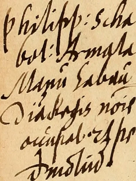 An illustration from Arnoldi Ferroni Burdigalensis, regij consiliarij, : De rebus gestis Gallorum libri IX. Ad Historiam Pavli Aemylii additi, perducta historia usque ad terpora Henrici II, Francorum regis. [Paralipomena Gallicanae historiae ad P. Aemylivm et Ferronvm, adiecta. Per Ioannem Thomam Freigivm], 1569, leaf 307