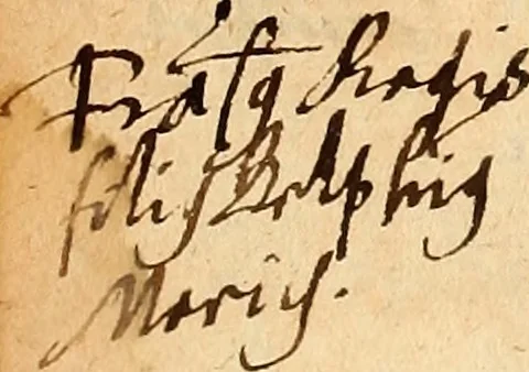 An illustration from Arnoldi Ferroni Burdigalensis, regij consiliarij, : De rebus gestis Gallorum libri IX. Ad Historiam Pavli Aemylii additi, perducta historia usque ad terpora Henrici II, Francorum regis. [Paralipomena Gallicanae historiae ad P. Aemylivm et Ferronvm, adiecta. Per Ioannem Thomam Freigivm], 1569, leaf 325