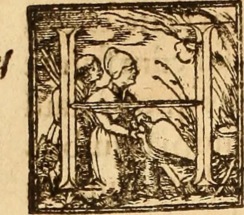 An illustration from Arnoldi Ferroni Burdigalensis, regij consiliarij, : De rebus gestis Gallorum libri IX. Ad Historiam Pavli Aemylii additi, perducta historia usque ad terpora Henrici II, Francorum regis. [Paralipomena Gallicanae historiae ad P. Aemylivm et Ferronvm, adiecta. Per Ioannem Thomam Freigivm], 1569, leaf 357