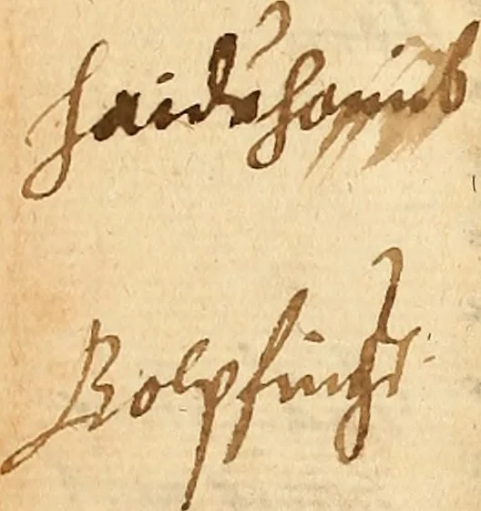 An illustration from Arnoldi Ferroni Burdigalensis, regij consiliarij, : De rebus gestis Gallorum libri IX. Ad Historiam Pavli Aemylii additi, perducta historia usque ad terpora Henrici II, Francorum regis. [Paralipomena Gallicanae historiae ad P. Aemylivm et Ferronvm, adiecta. Per Ioannem Thomam Freigivm], 1569, leaf 419