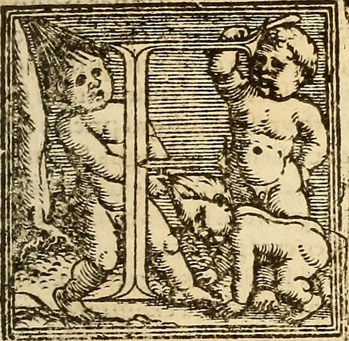 An illustration from Arnoldi Ferroni Burdigalensis, regij consiliarij, : De rebus gestis Gallorum libri IX. Ad Historiam Pavli Aemylii additi, perducta historia usque ad terpora Henrici II, Francorum regis. [Paralipomena Gallicanae historiae ad P. Aemylivm et Ferronvm, adiecta. Per Ioannem Thomam Freigivm], 1569, leaf 428