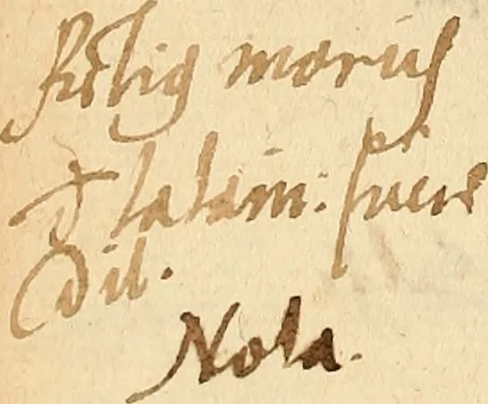 An illustration from Arnoldi Ferroni Burdigalensis, regij consiliarij, : De rebus gestis Gallorum libri IX. Ad Historiam Pavli Aemylii additi, perducta historia usque ad terpora Henrici II, Francorum regis. [Paralipomena Gallicanae historiae ad P. Aemylivm et Ferronvm, adiecta. Per Ioannem Thomam Freigivm], 1569, leaf 433