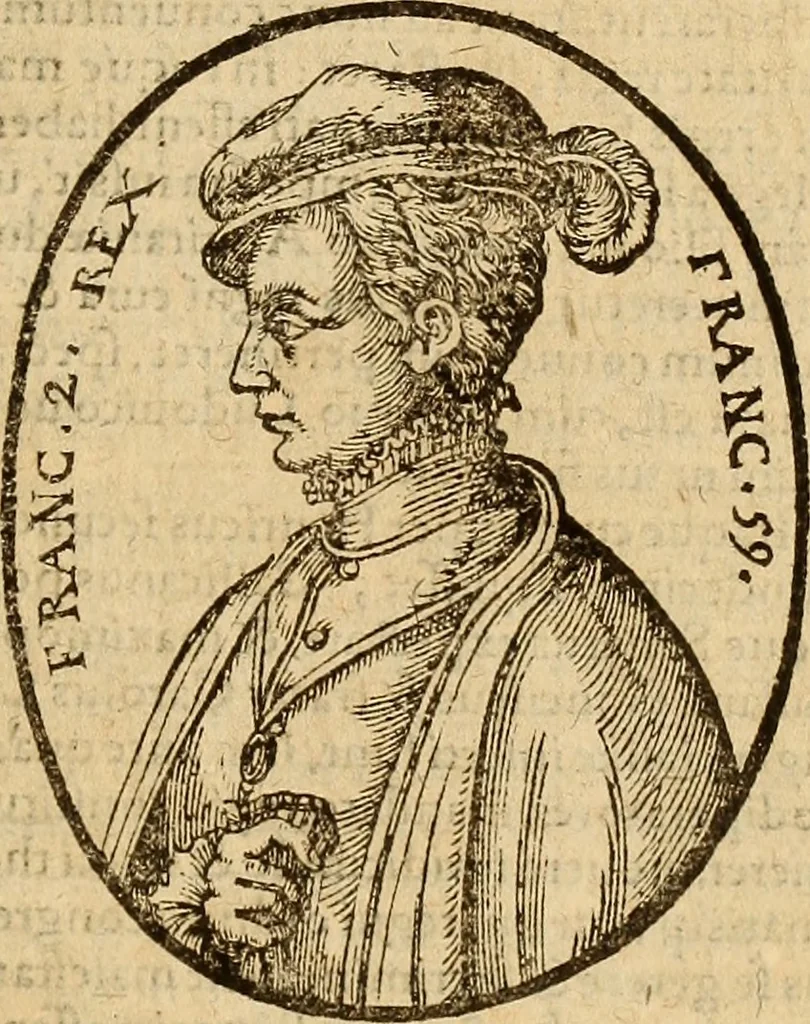 An illustration from Arnoldi Ferroni Burdigalensis, regij consiliarij, : De rebus gestis Gallorum libri IX. Ad Historiam Pavli Aemylii additi, perducta historia usque ad terpora Henrici II, Francorum regis. [Paralipomena Gallicanae historiae ad P. Aemylivm et Ferronvm, adiecta. Per Ioannem Thomam Freigivm], 1569, leaf 448