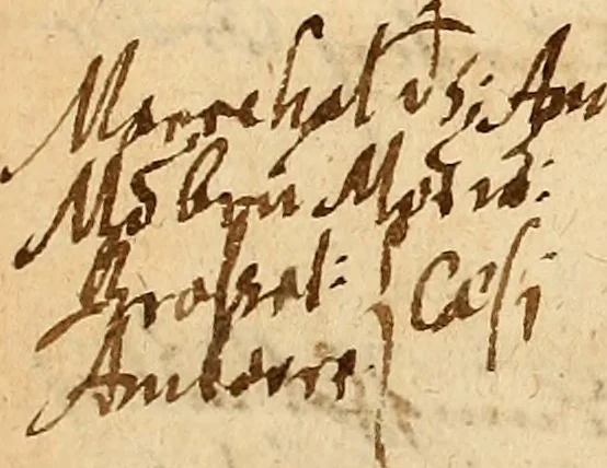 An illustration from Arnoldi Ferroni Burdigalensis, regij consiliarij, : De rebus gestis Gallorum libri IX. Ad Historiam Pavli Aemylii additi, perducta historia usque ad terpora Henrici II, Francorum regis. [Paralipomena Gallicanae historiae ad P. Aemylivm et Ferronvm, adiecta. Per Ioannem Thomam Freigivm], 1569, leaf 457