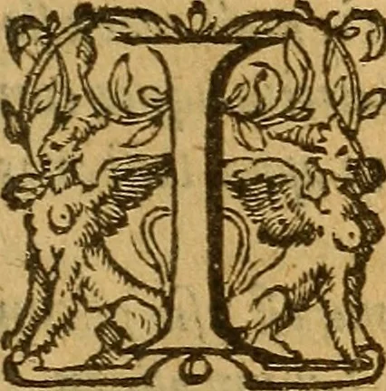An illustration from Aromatum, et simplicium aliquot medicamentorum apud Indos nascentium historia : ante biennium quidem Lusitanica lingua per dialogos conscripta, 1567, leaf 212