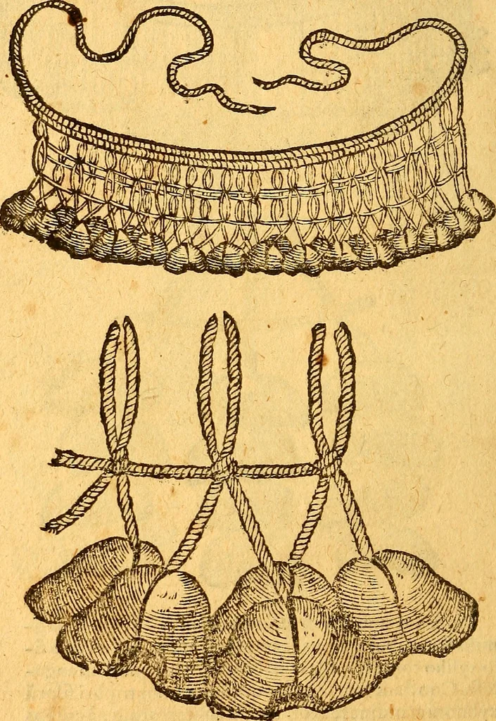 An illustration from Aromatum, et simplicium aliquot medicamentorum apud Indos nascentium historia : ante biennium quidem Lusitanica lingua per dialogos conscripta, 1567, leaf 233