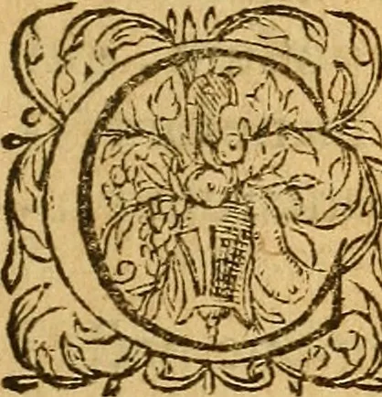 An illustration from Aromatum, et simplicium aliquot medicamentorum apud Indos nascentium historia : ante biennium quidem Lusitanica lingua per dialogos conscripta, 1567, leaf 6