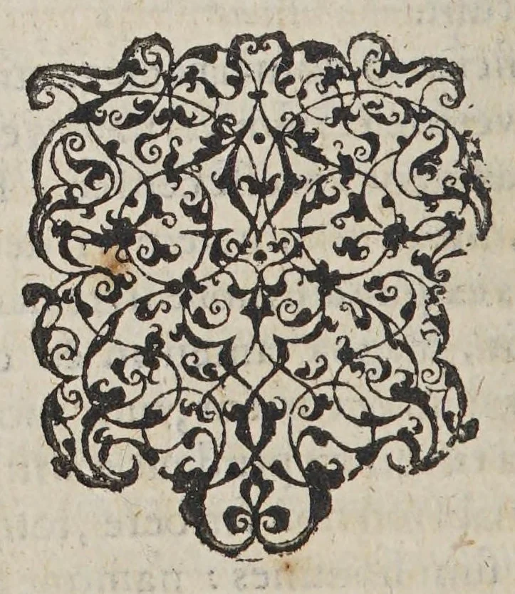An illustration from Aromatum, et simplicium aliquot medicamentorum apud Indos Nascentium historia:, 1593, leaf 14