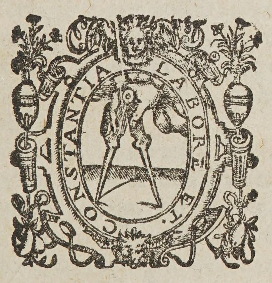 An illustration from Aromatum, et simplicium aliquot medicamentorum apud Indos Nascentium historia:, 1593, leaf 101