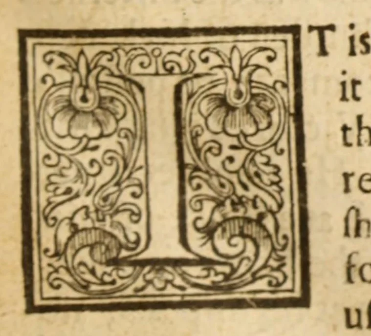 An illustration from Aron-bimnucha, or, an antidote to cure the calamities of their trembling for fear of the ark : to which is added Mr. Crofton's creed touching church-communion : with a brief answer to ... a pamphlet entituled Jerubbaal justified .., 1663, leaf 13