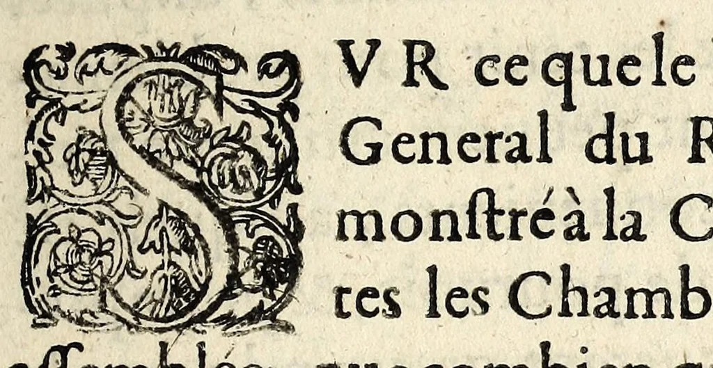 An illustration from Arrest de la cour de parlement du 2. ianuier 1615 : tovchant la sovveraineté du roy au temporel, & contre la pernicieuse doctrine d'attenteraux personnes sacrées des roys., 1615, leaf 19