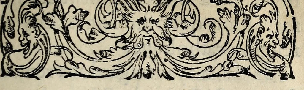 An illustration from Arrest dv sovverain senat de Savoye, avec l'ordre de son Altesse, sur le faict de la religion., 1562, leaf 3