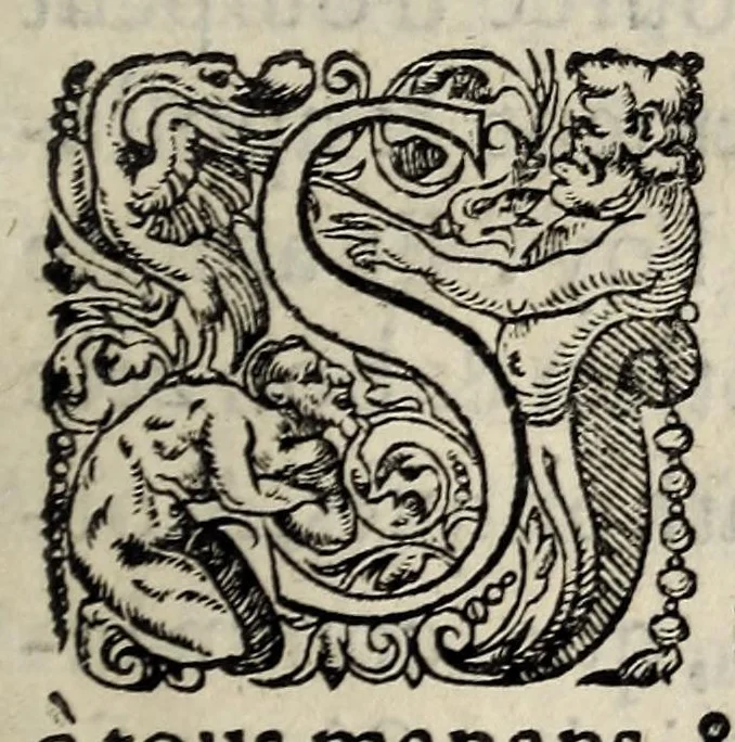An illustration from Arrest dv sovverain senat de Savoye, avec l'ordre de son Altesse, sur le faict de la religion., 1562, leaf 3