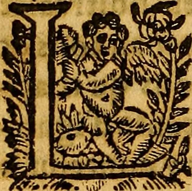 An illustration from Arrest et reglement faict au consil touchant la fonction des charges de Procureurs de sa Majesté aux Bureaux des Tresoriers de France des generalitez de ce Royaume, 1630, leaf 17
