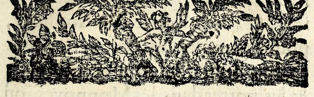 An illustration from [Arrests de la Covr des monnoyes], 1644, leaf 19