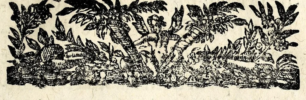 An illustration from [Arrests de la Covr des monnoyes], 1646, leaf 19