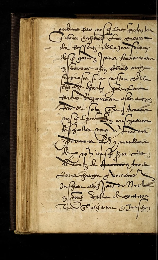An illustration from Arrestz de la Covrt des Grandz Iovrs seant en la ville de Poictiers, donnez les sept & quatorziesme iours de Nouembre 1579. Contre les defaillans & contumax condamnez à mort., 1579, leaf 56