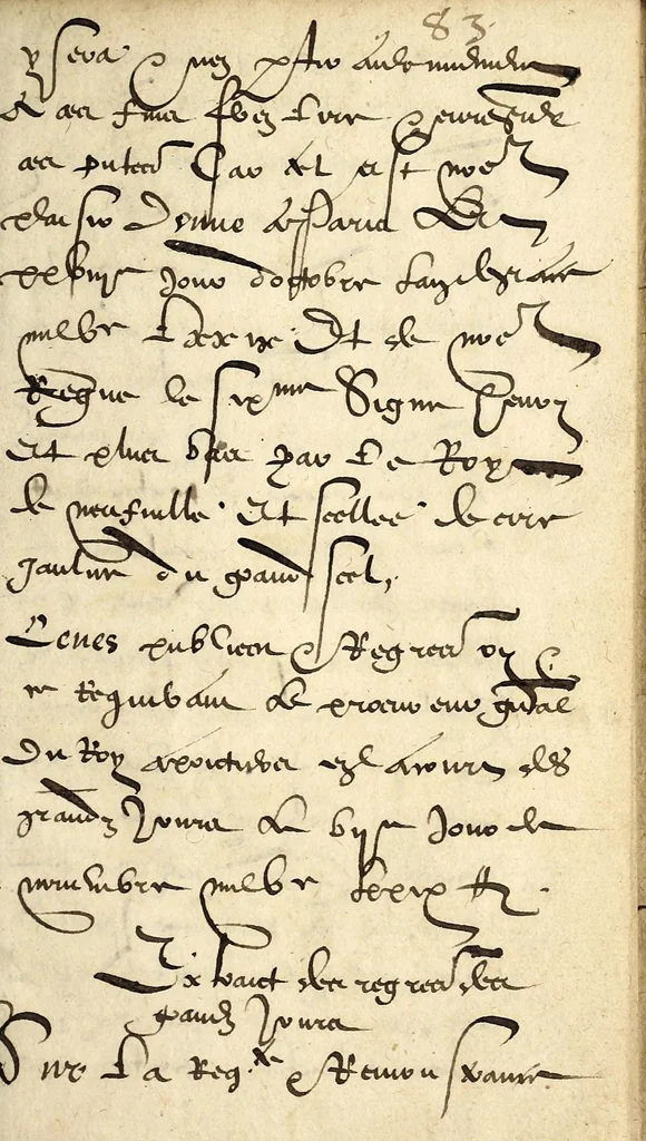 An illustration from Arrestz de la Covrt des Grandz Iovrs seant en la ville de Poictiers, donnez les sept & quatorziesme iours de Nouembre 1579. Contre les defaillans & contumax condamnez à mort., 1579, leaf 57