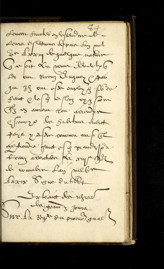 An illustration from Arrestz de la Covrt des Grandz Iovrs seant en la ville de Poictiers, donnez les sept & quatorziesme iours de Nouembre 1579. Contre les defaillans & contumax condamnez à mort., 1579, leaf 59
