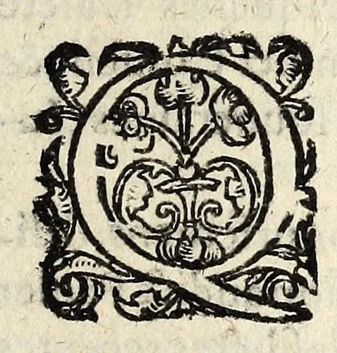 An illustration from Arrets dv conseil d'estat dv Roy, ensemble les articles accordez pour les receptes & consignations des Cours de Parlement de Paris, & Bourdeaux., 1607, leaf 11