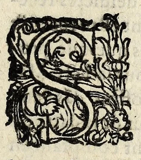 An illustration from Arrets dv conseil d'estat dv Roy, ensemble les articles accordez pour les receptes & consignations des Cours de Parlement de Paris, & Bourdeaux., 1607, leaf 3