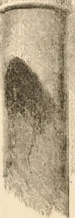 An illustration from Arrows of the chace; being a collection of scattered letters published chiefly in the daily newspapers,--1840-1880, 1881, leaf 9